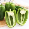 【ZCWJ】新鲜采摘青椒薄皮脆甜 商品缩略图1