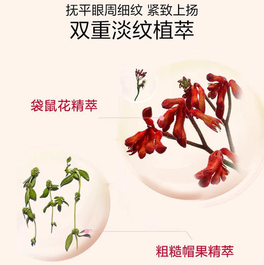 【孕妇可用】法国 Clarins娇韵诗 焕颜弹力全明星眼霜 15ml 商品图2