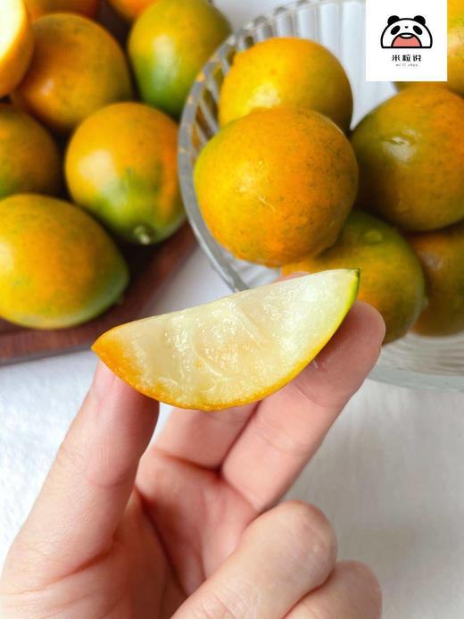 （2200积分+55.9元兑换）【脆蜜金柑金桔1.5斤大果】 周六（12.27）中午12点开始  金橘 不使用任何甜蜜素，不抛光，不打蜡，很原生态的环境 商品图3