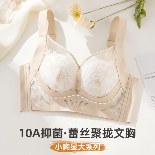 雅黛俪女士文胸小胸聚拢显大提拉有型性感蕾丝网纱透气舒适内衣胸罩 商品图2