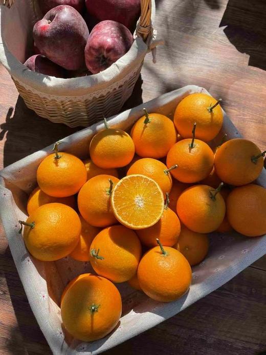 （700积分+29.9元兑换）【爱媛果冻橙5斤中果】 周六（12.27）中午12点开始  果冻口感 柑橘皇后 可以吸着吃的果冻橙 甜度13以下不采摘 商品图5