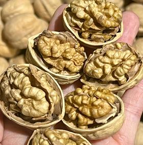 【新疆185纸皮核桃】一捏即开❗️美味尝鲜啦