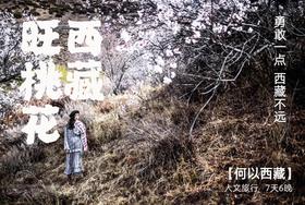 松赞·林芝-拉萨 | 冰川桃花，自然人文探索 6天5晚