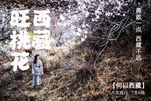 松赞·林芝-拉萨 | 冰川桃花，自然人文探索 6天5晚 商品图0