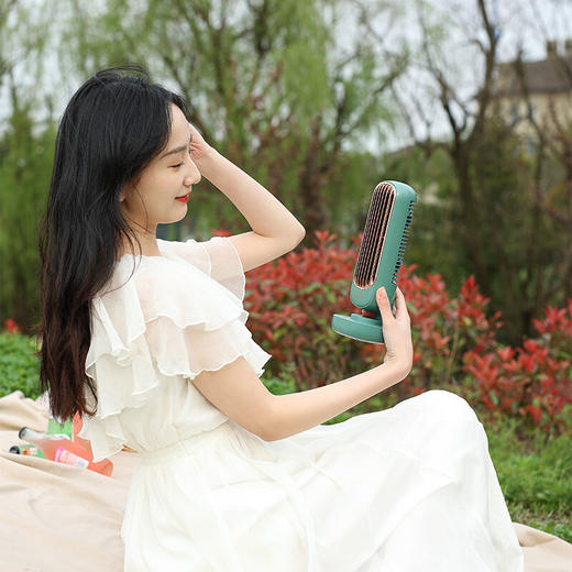 澳柯玛台式小塔扇FSS-B201 商品图6