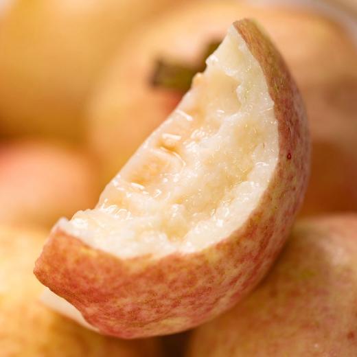 胭脂红芭乐 商品图1