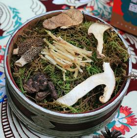 【波密野生菌礼盒】米其林三星级 世界野生名菌 精通每一味高好汤 