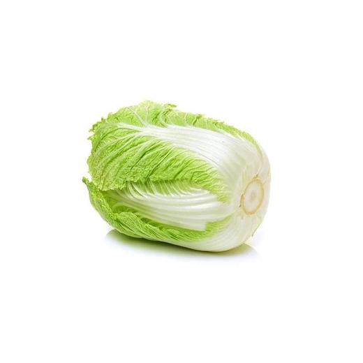 【ZCWJ】新鲜干净大白菜产地直发 商品图2