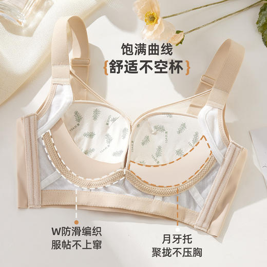雅黛俪女士文胸小胸聚拢显大提拉有型性感蕾丝网纱透气舒适内衣胸罩 商品图4
