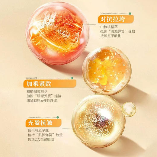 法国 Clarins娇韵诗 焕颜弹簧3件套 套装（弹簧水200ml+弹簧日霜50ml+弹簧晚霜50ml） 商品图3