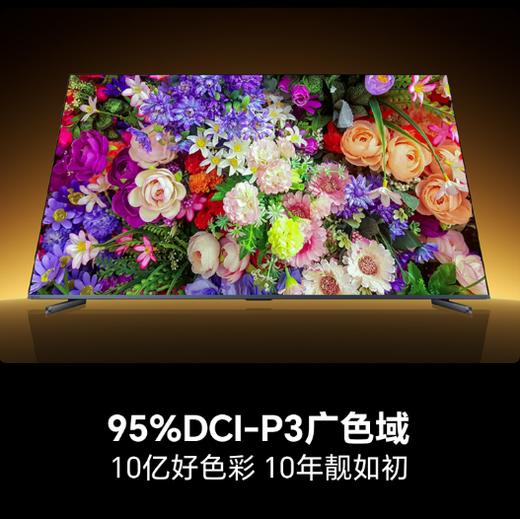 【海信】电视_超画质＋Mini LED 高刷大内存_100A50Q【海南】 商品图4