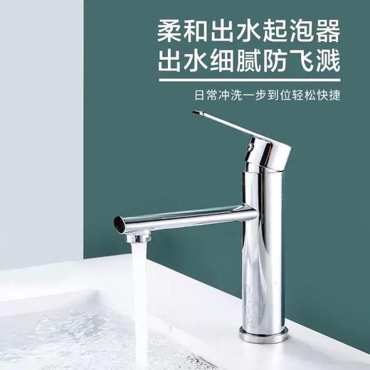  6325挪威冷热单孔-电镀 商品图2