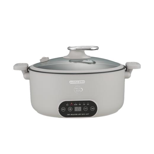 澳柯玛微压锅AHG-50WP51 商品图5