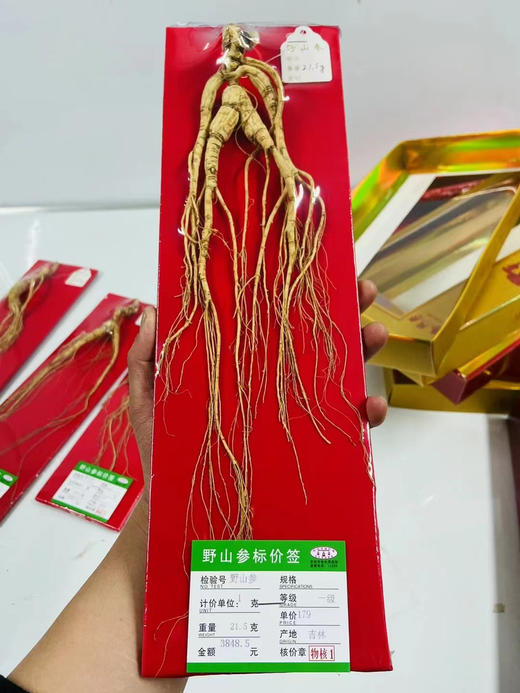 ＃山参*年年好评＃国药老字号，杭检野山参，正宗正品标价牌齐全，一支一价，对号购买 商品图10