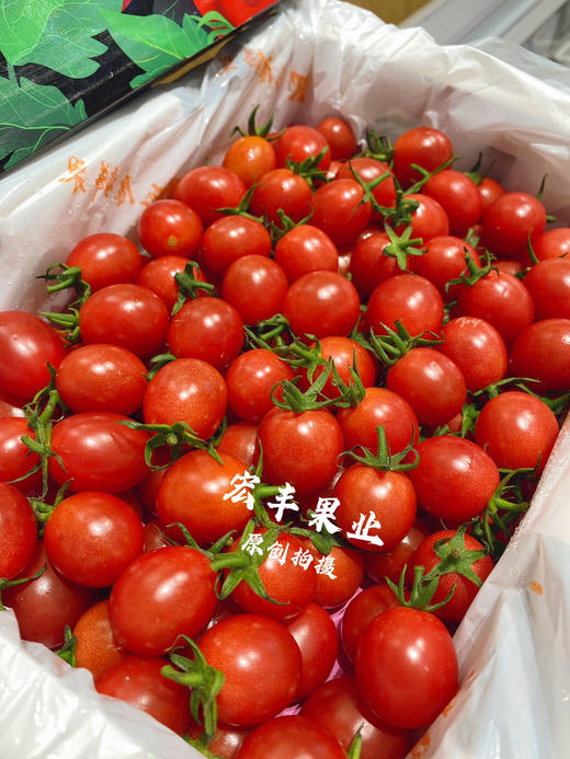 宏丰精选 红黄千禧圣女果 ，口感很甜，当季水果推荐 商品图5