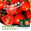 【番时番】块块鲜番茄火锅汤底 大块番茄看得见 配料干净 在家也能捞 新疆自然成熟番茄 露天种植 商品缩略图0