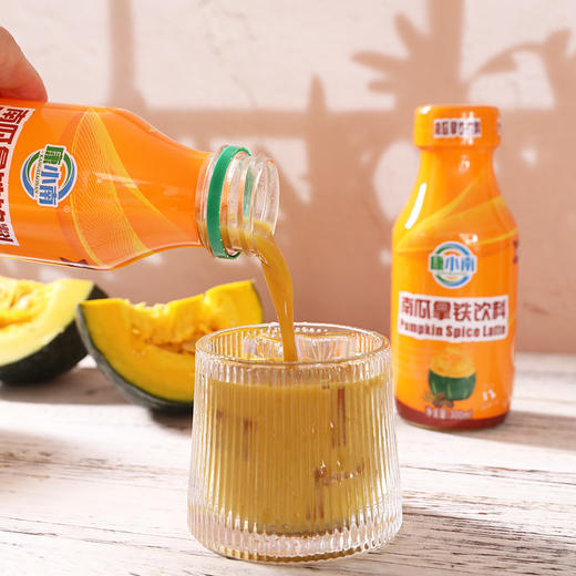 南瓜拿铁300ml*8瓶装咖啡康小南健康营养便携装植物蛋白饮料包邮 商品图0