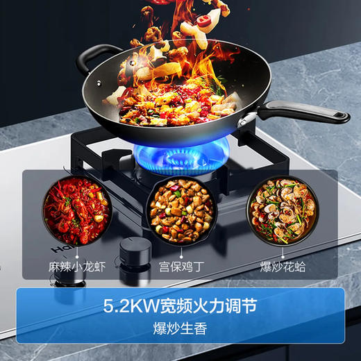 海尔（Haier）灶具 JZT-Q2GE2(12T) 商品图12