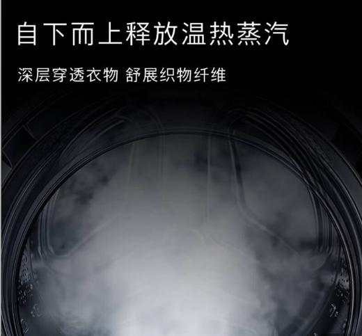 【西门子】洗烘一体机_蒸汽除皱中途添衣_WN54K7G00W【海南】 商品图3