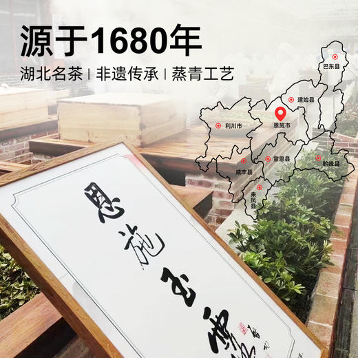 茶马世家恩施玉露明前特级头采非遗蒸青绿茶隐心甄翠礼盒装 商品图3
