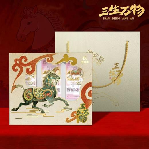 预定！2026马年纪念币+纪念钞官方限量版 康银阁 商品图8