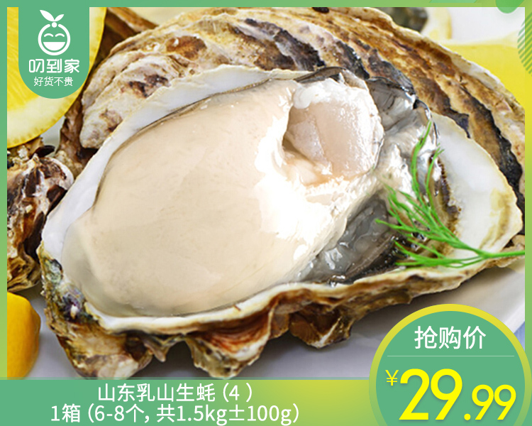 山东乳山生蚝（4+）/1箱（6-8个，共1.5kg±100g）