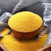 【ZCWJ】黄小米新米熬粥顺滑软糯香醇米香浓郁 商品缩略图1