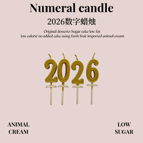 2026数字蜡烛