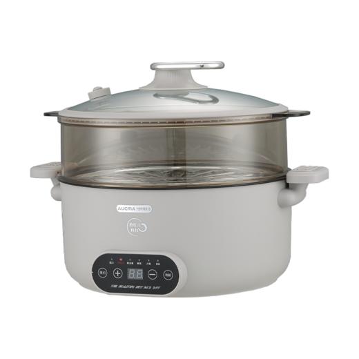 澳柯玛微压锅AHG-50WP51 商品图0