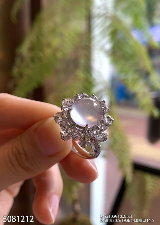 5081212，蛋面戒指。具体价格微信咨询 商品图1