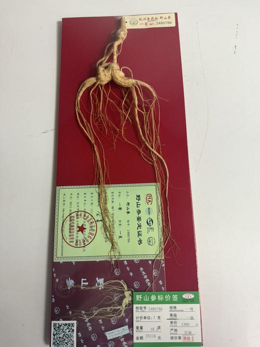 ＃山参*年年好评＃国药老字号，杭检野山参，正宗正品标价牌齐全，一支一价，对号购买 商品图4