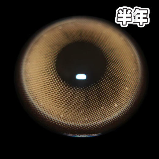 #happy eggis 发财煎蛋 金棕色 14.5mm【1片装】舒适推荐 / 半年抛 商品图2