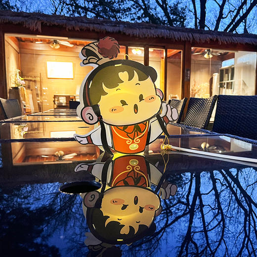 红楼梦灯笼 商品图4