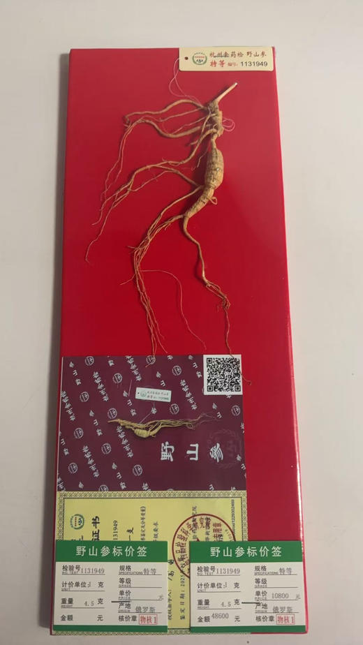 ＃山参*年年好评＃国药老字号，杭检野山参，正宗正品标价牌齐全，一支一价，对号购买 商品图2