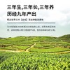 【百合精粹粉】精选兰州优质百合 无额外添加 配料只有百合 商品缩略图2