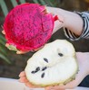 ♥️海南红心火龙果 · 自然熟 · 不催熟 · 不用保鲜剂 商品缩略图2