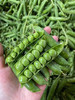 老甜豆豌豆，它来自大理浪漫的宾川，却陷入厨房的温热和爱，珠翠圆润的脆甜豌豆，绿油油的，治愈系春菜，脆甜或绵甜，随你烹饪，颠覆味蕾，大人孩子都爱！2斤/份 商品缩略图1