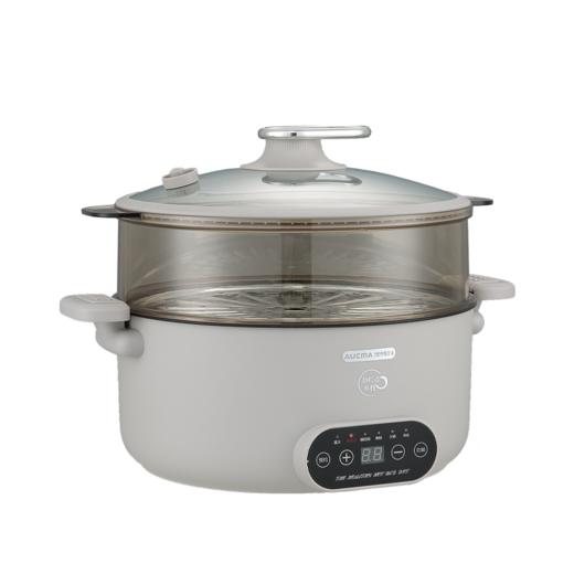 澳柯玛微压锅AHG-50WP51 商品图4