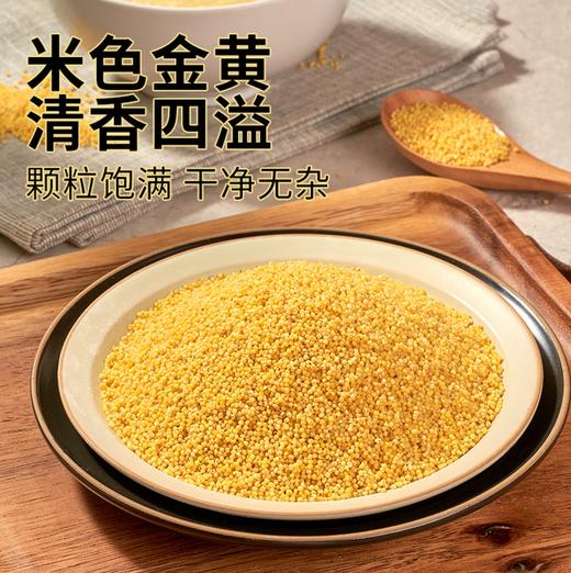 【YC】山西特产 山西小米 五谷杂粮 商品图0