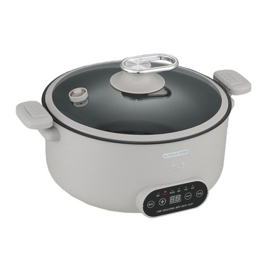 澳柯玛微压锅AHG-50WP51 商品图6