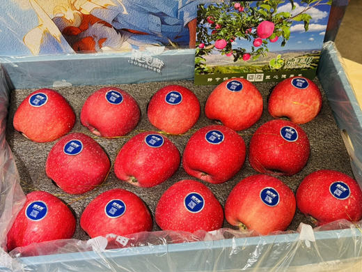 静宁红富士苹果礼盒装 （10个装） 商品图1