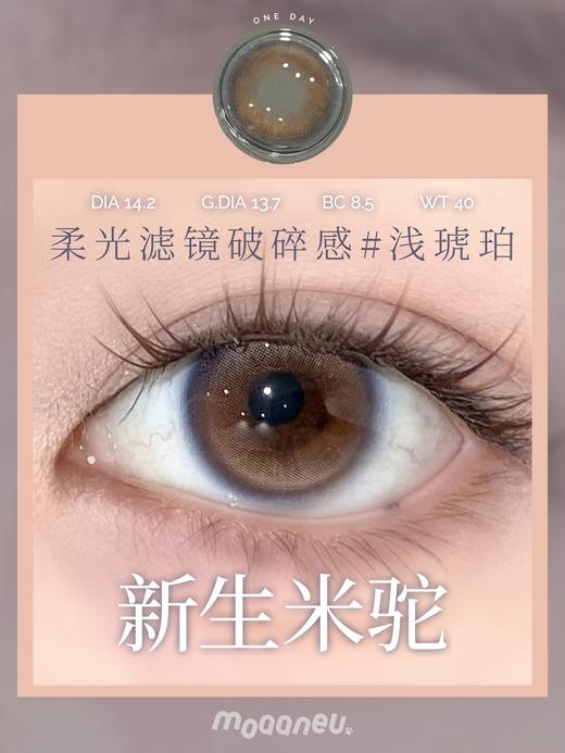 MOAANEU 正品日抛,78/盒258/4盒,古着亚麻神赐金埃及新生米驼英国雨 商品图6