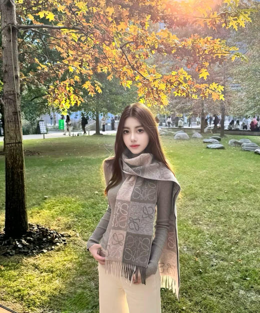 返场【充值1800档赠品】高定级质感大牌围巾-下单请“备注颜色，不备注随机发”（DSX） 商品图6