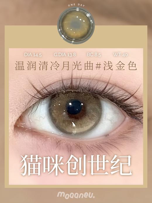 MOAANEU 正品日抛,78/盒258/4盒,古着亚麻神赐金埃及新生米驼英国雨 商品图9