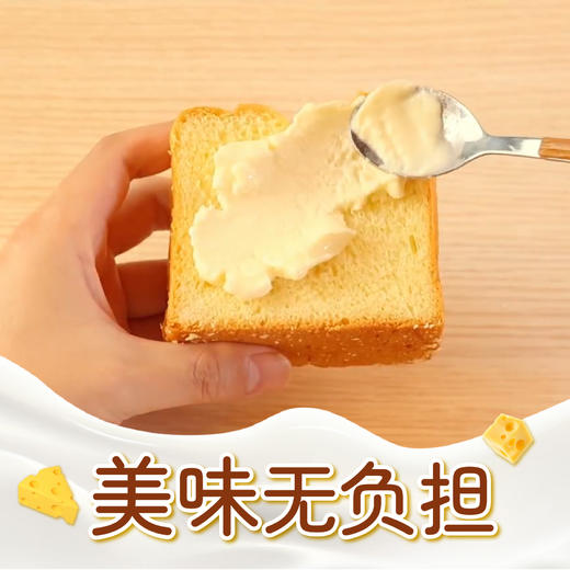 雪萨庄园小奶酪120g装短保酸奶芝士营养丰富健康0防腐早餐下午茶 商品图6