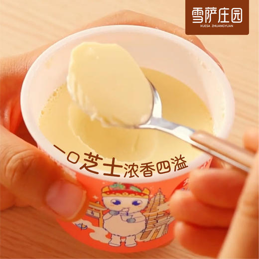 雪萨庄园小奶酪120g装短保酸奶芝士营养丰富健康0防腐早餐下午茶 商品图4
