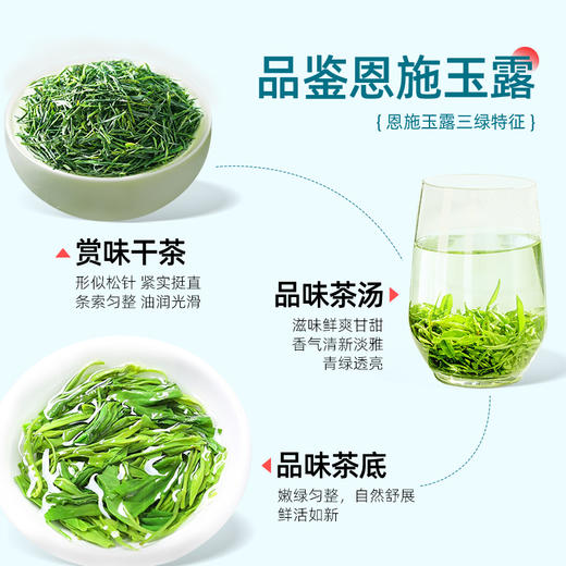 茶马世家恩施玉露明前特级头采非遗蒸青绿茶隐心甄翠礼盒装 商品图2