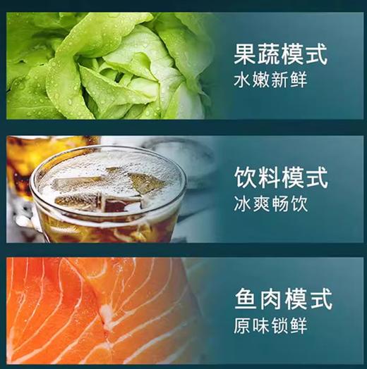 【西门子】冰箱_湖蕴蓝钢门，一级能效、超薄零平嵌、抑菌新鲜，512L_KA515691EC【海南】 商品图3