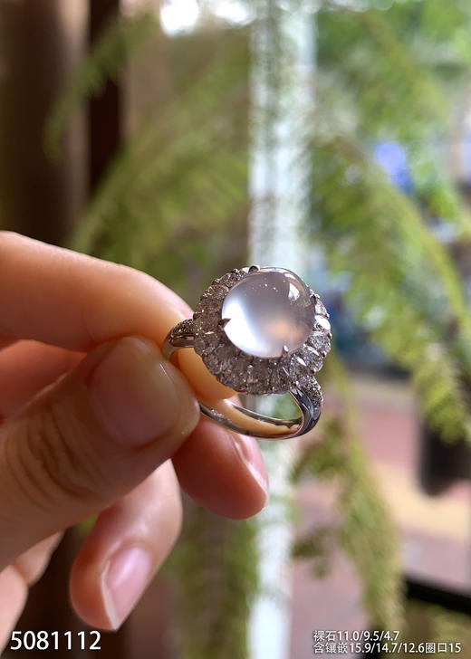 5081112，蛋面戒指。具体价格微信咨询 商品图1