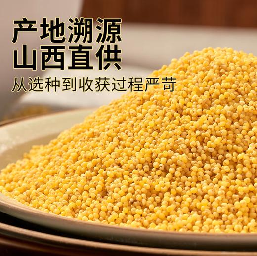 【YC】山西特产 山西小米 五谷杂粮 商品图2